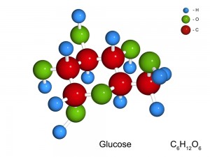Glucose Molecule